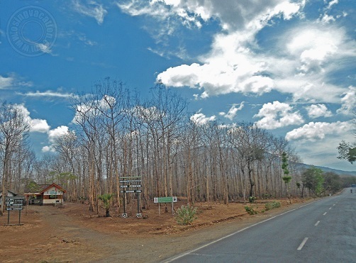 bromo ijen tour price from bali